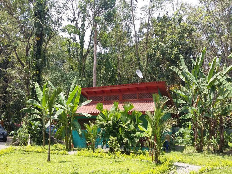 Villa Pina Dorada Dependencia Del Hotel Casa Merlin Puerto Viejo de Talamanca Buitenkant foto